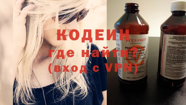 индика Бронницы